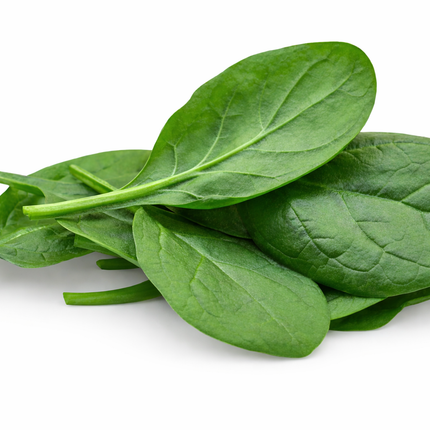 Espinaca