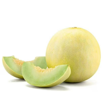 Melón Tuna de Temporada | Vegago Chile