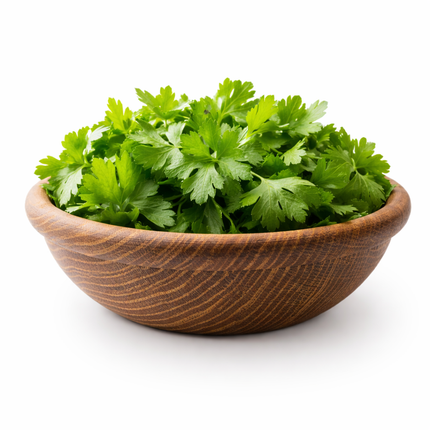 Cilantro