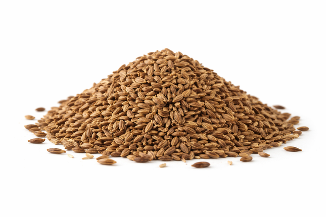 Semilla Estragón 100 gramos | Vegago Chile
