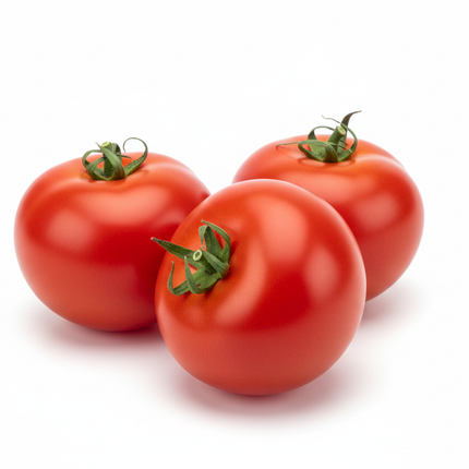 imagen hiperealista de tomate larga vida en fondo blanco