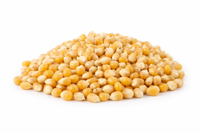 Maíz palomitas| Vegago Chile