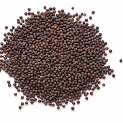 Semilla Mostaza Negra 100 gramos | Vegago Chile