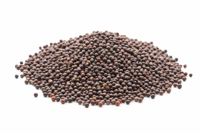 Semilla Mostaza Negra 100 gramos | Vegago Chile