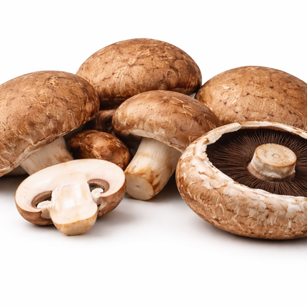 shampinonshitake