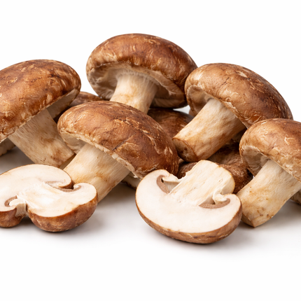 shampinonshitake